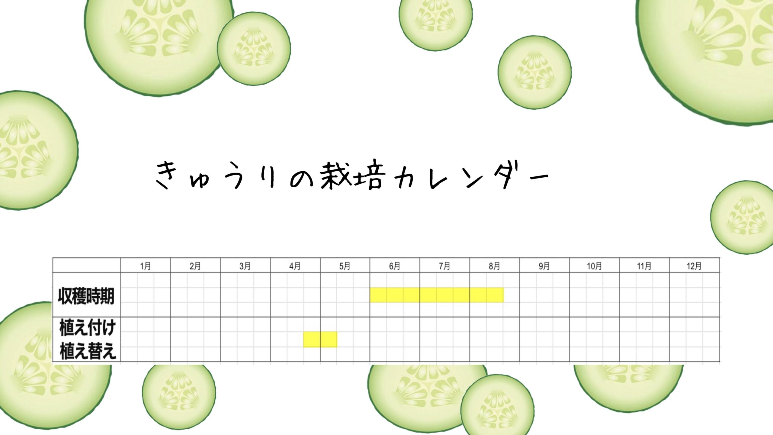 きゅうりの栽培カレンダー